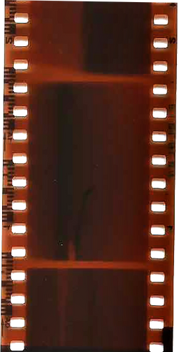 Film Strip
